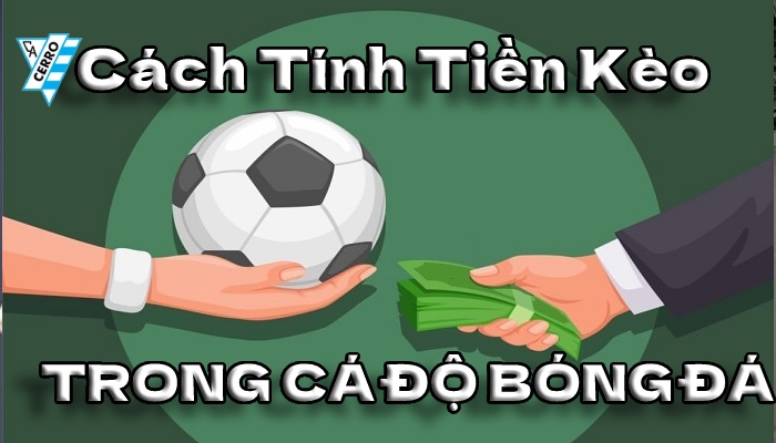 Hướng dẫn chi tiết cách tính tiền thắng cược trong cá độ bóng đá hôm nay